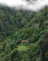 Darshi Resort